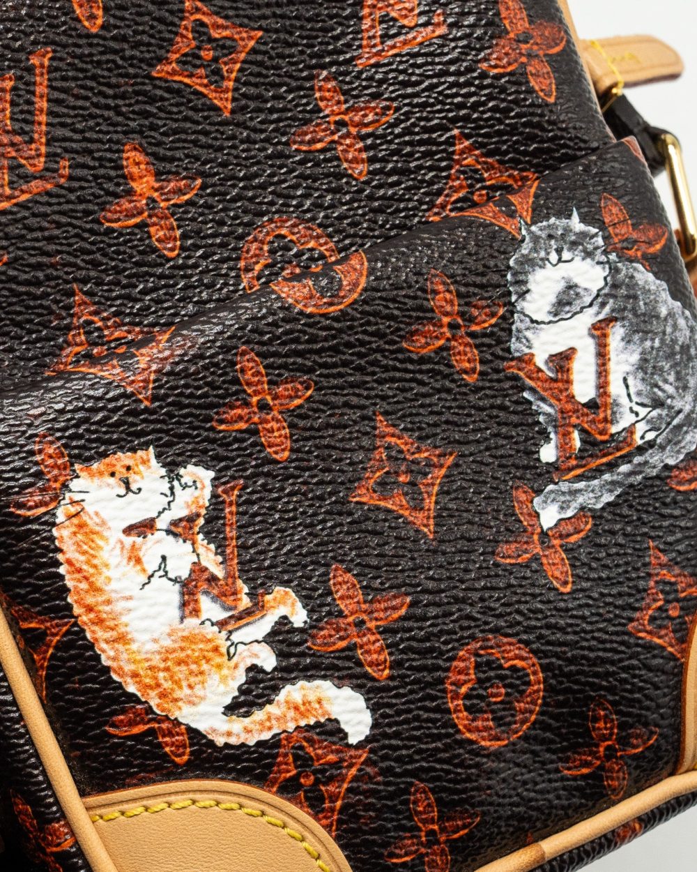 AAA Replica Louis Vuitton LV CATOGRAM PANAME SET MONOGRAM CANVAS MULTICOLOUR GHW 