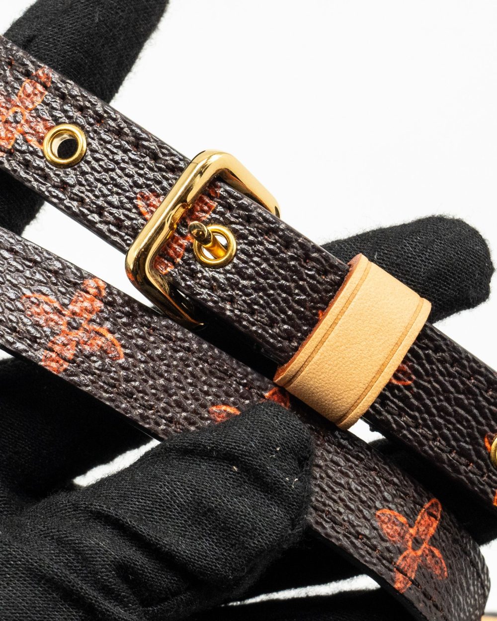AAA Replica Louis Vuitton LV CATOGRAM PANAME SET MONOGRAM CANVAS MULTICOLOUR GHW 