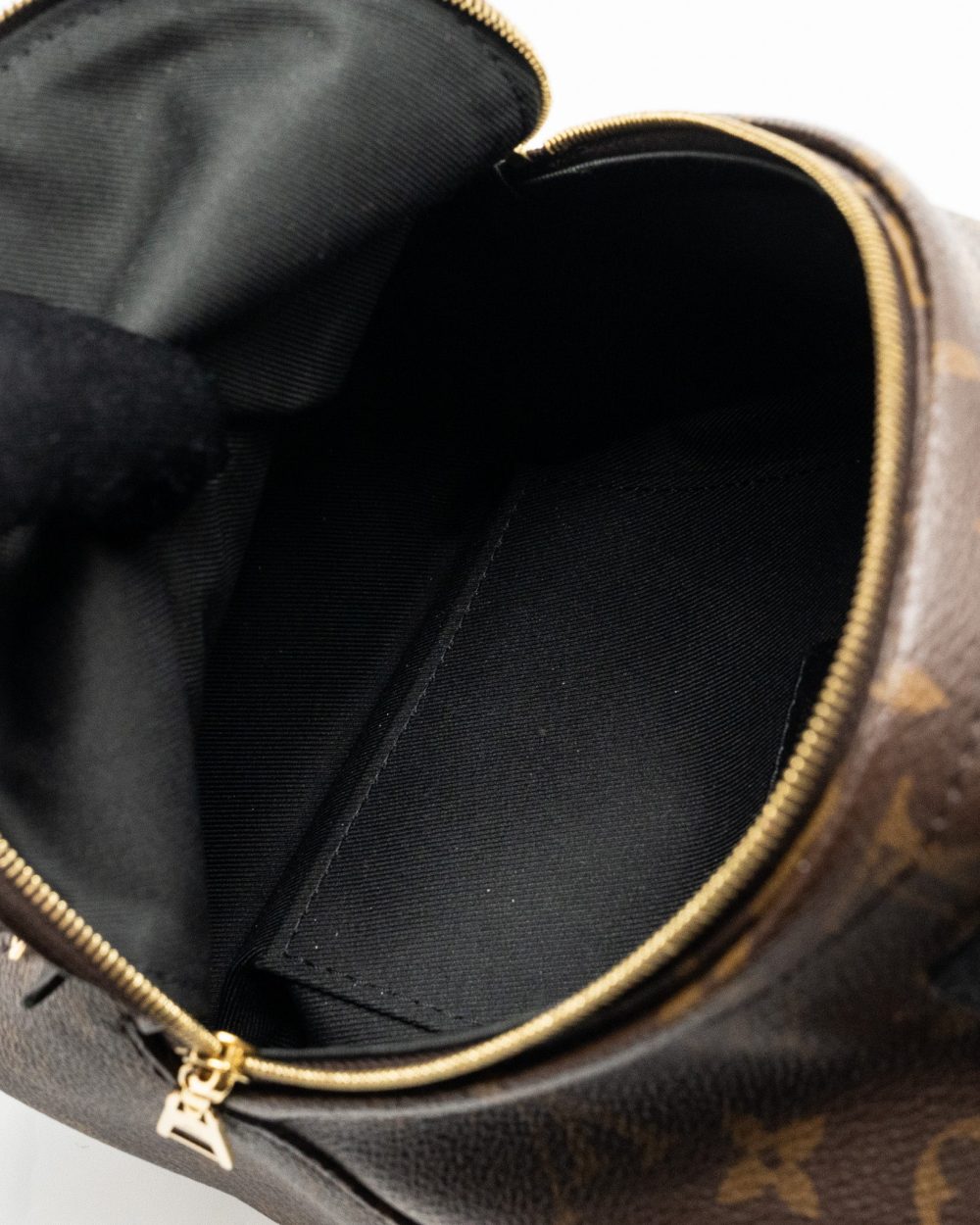 AAA Replica Louis Vuitton LV MINI PALM SPRING BACKPACK MONOGRAM CANVAS GHW