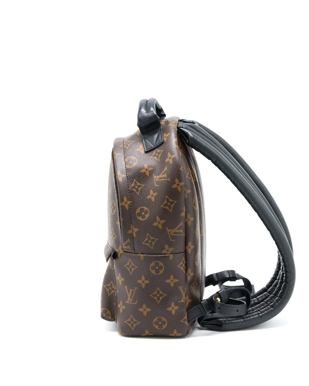 AAA Replica Louis Vuitton LV PALM SPRING PM BACKPACK MONOGRAM CANVAS GHW