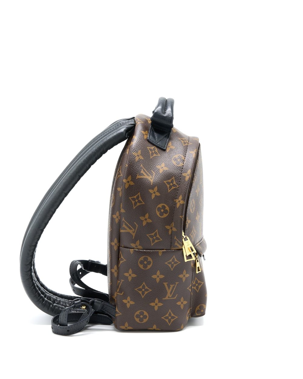 AAA Replica Louis Vuitton LV PALM SPRING PM BACKPACK MONOGRAM CANVAS GHW