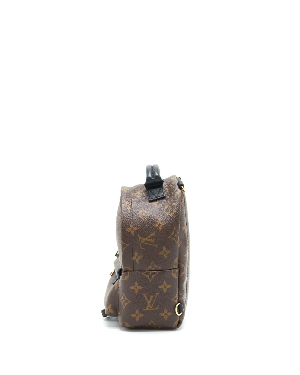 AAA Replica Louis Vuitton LV LOUIS VUITTIN PALM SPRING BACKPACK MINI MONOGRAM CANVAS