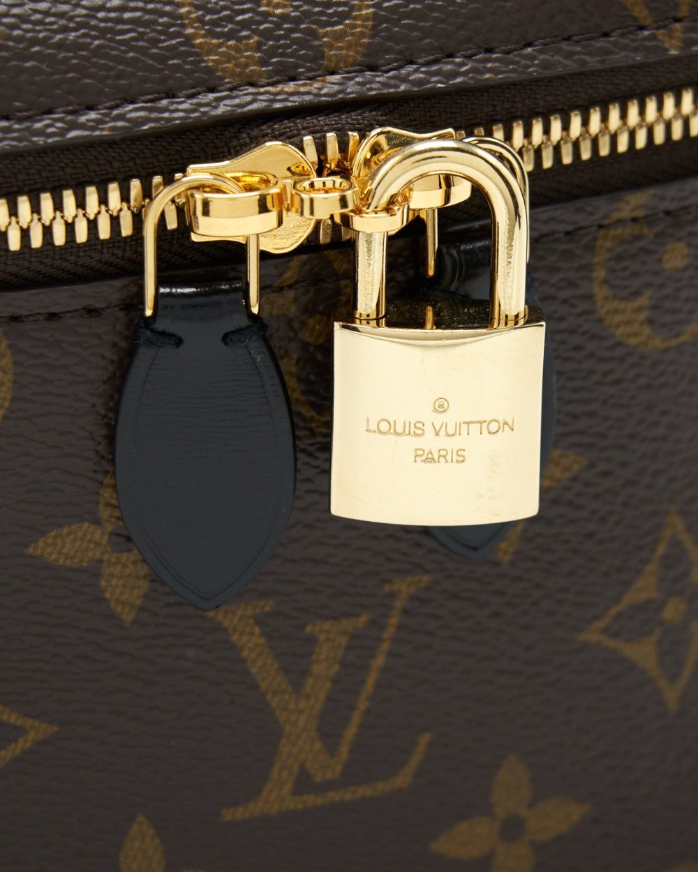 AAA Replica Louis Vuitton LV VANITY PM MONOGRAM CANVAS YEAR 2021 WITH AN EXTRA TWILLY