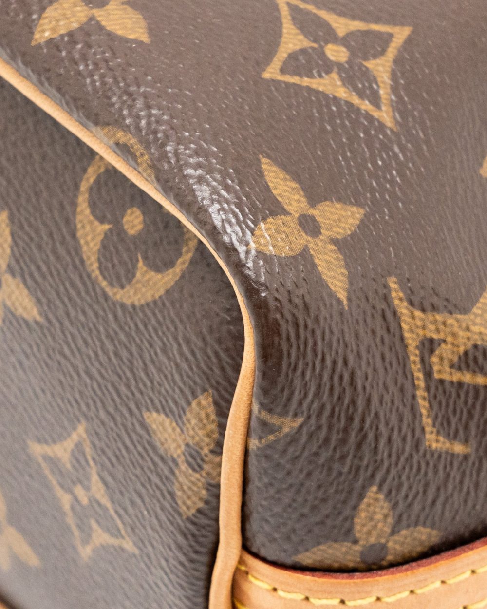 AAA Replica Louis Vuitton LV NANO NOE MONOGRAM CANVAS GHW