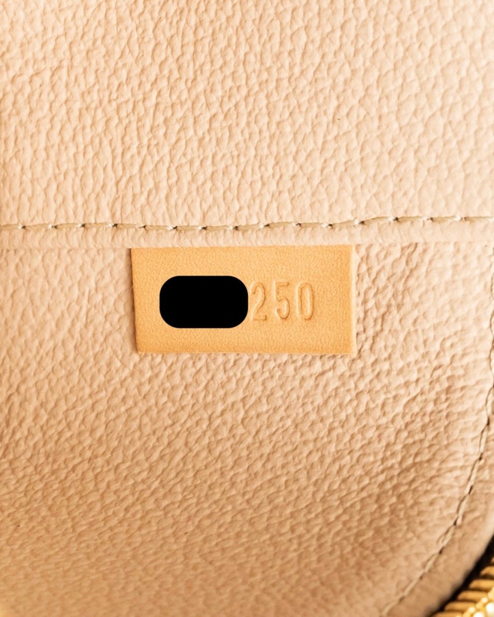 AAA Replica Louis Vuitton LV NICE NANO MONOGRAM CANVAS GHW
