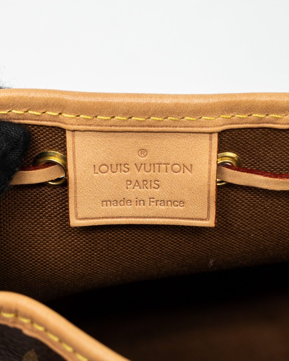AAA Replica Louis Vuitton LV NANO NOE MONOGRAM CANVAS GHW