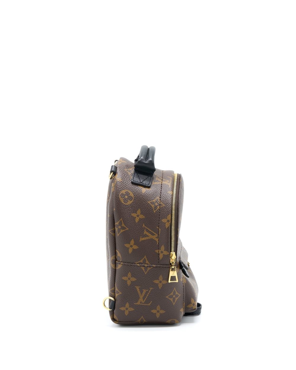 AAA Replica Louis Vuitton LV PALM SPRING MINI BACKPACK MONOGRAM CANVAS GHW