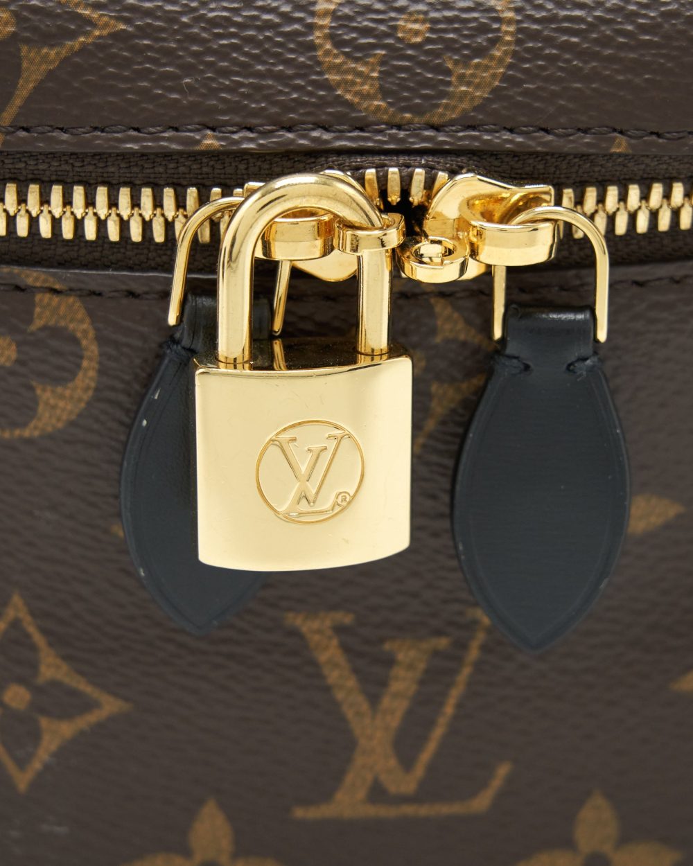 AAA Replica Louis Vuitton LV VANITY PM MONOGRAM CANVAS GHW