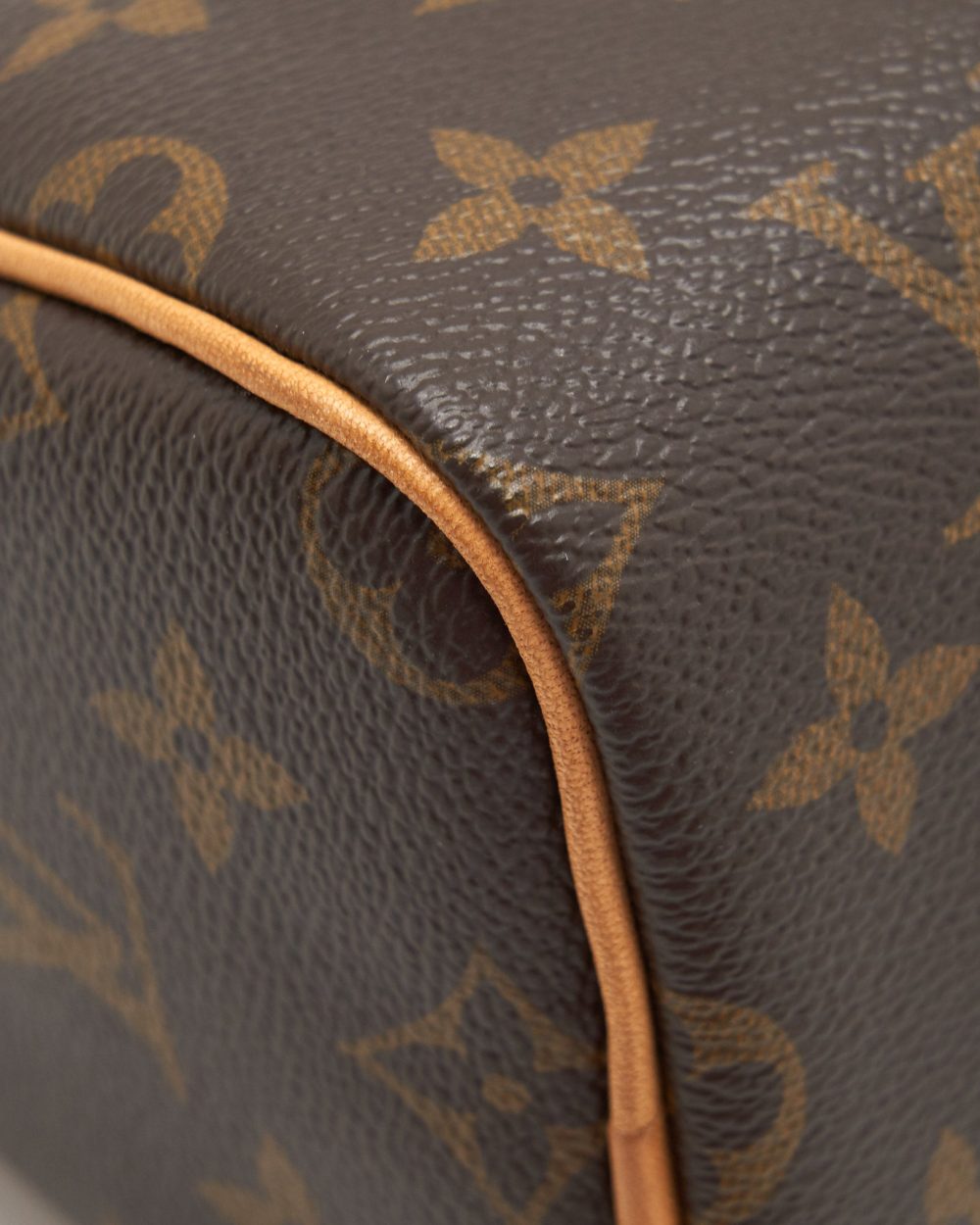 AAA Replica Louis Vuitton LV NANO SPEEDY MONOGRAM