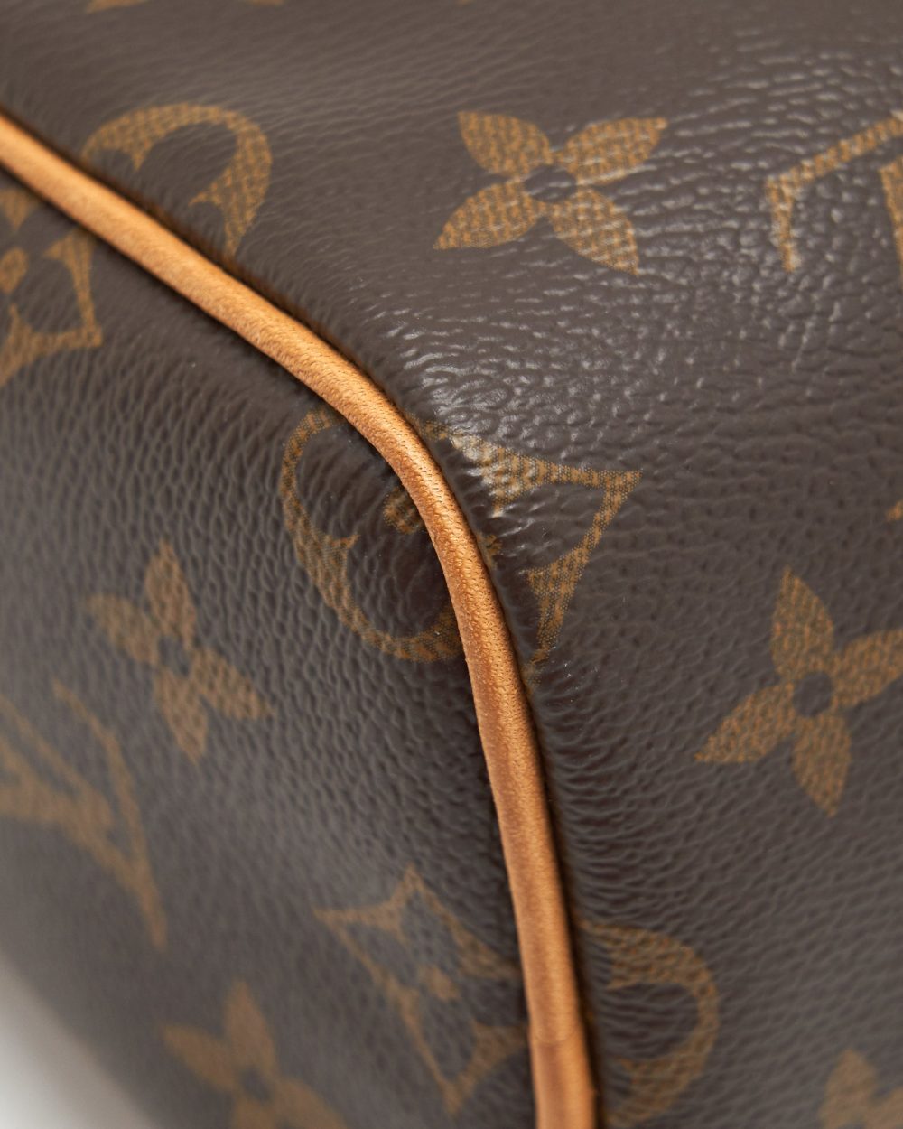 AAA Replica Louis Vuitton LV NANO SPEEDY MONOGRAM