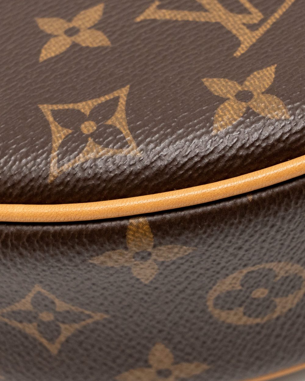 AAA Replica Louis Vuitton LV LOOP BAG MONOGRAM CANVAS GHW