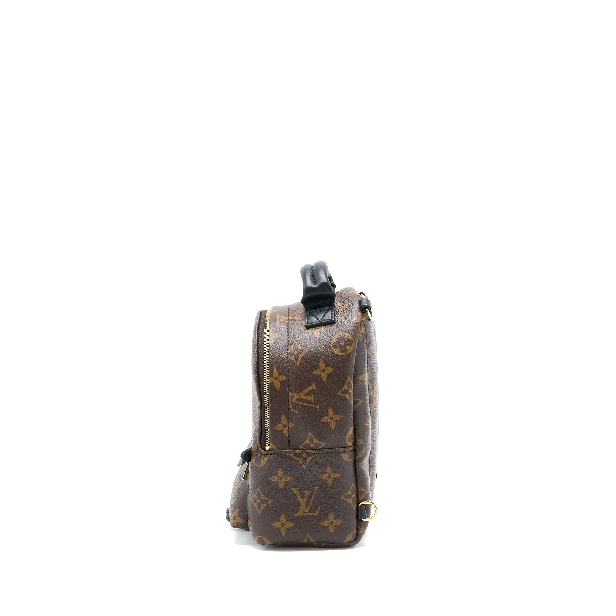 AAA Replica Louis Vuitton LV MINI PALM SPRING BACKPACK MONOGRAM CANVAS GHW