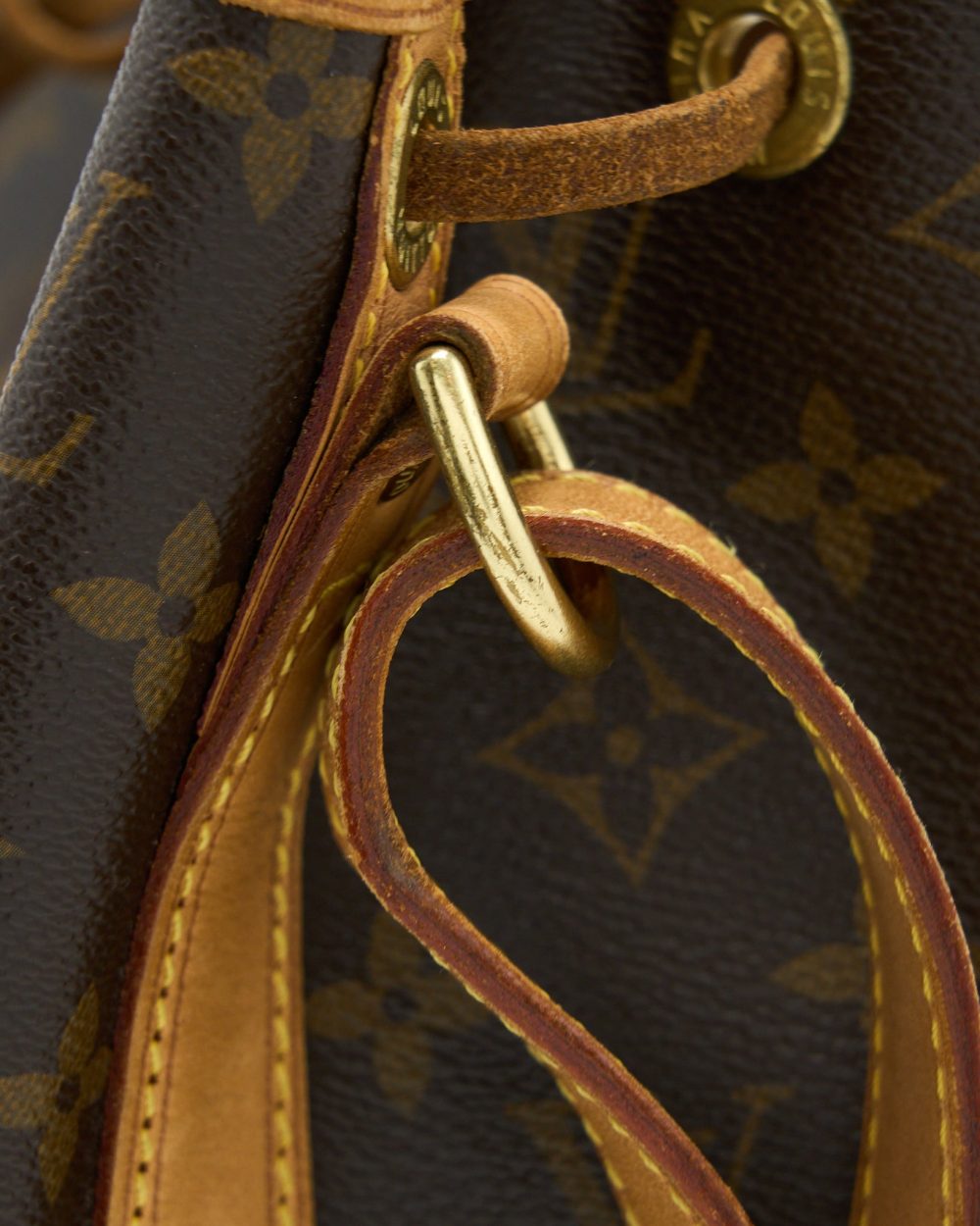 AAA Replica Louis Vuitton LV PETIT NEO BAG MONOGRAM CANVAS GHW