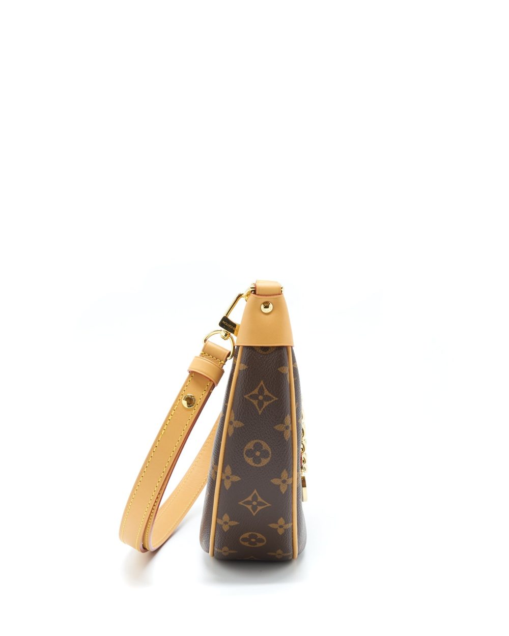 AAA Replica Louis Vuitton LV LOOP BAG MONOGRAM CANVAS GHW