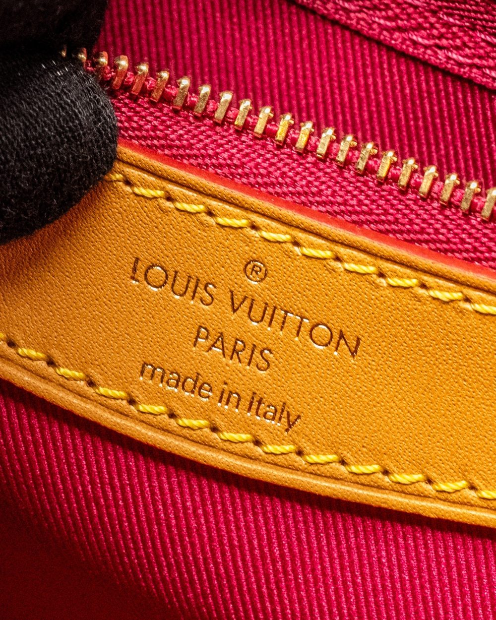 AAA Replica Louis Vuitton LV DIANE BAG WITH FUCHSIA STRAP MONOGRAM CANVAS GHW