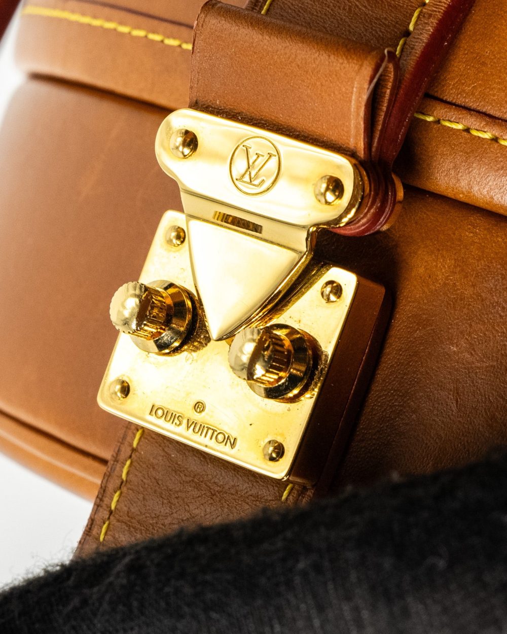 AAA Replica Louis Vuitton LV BOITE CHAPEAU BAG LIMITED EDITION GRACE CODDINGTON CATOGRAM PETIT CALFSKIN BROWN GHW